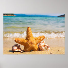 Starfish and Seashells am Strand Poster
