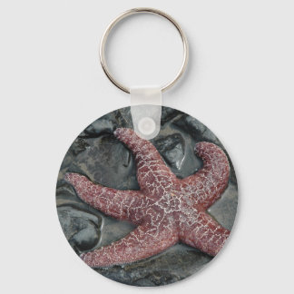 StarFish at Oceanside in Tillamook Landkreis, Oreg Schlüsselanhänger
