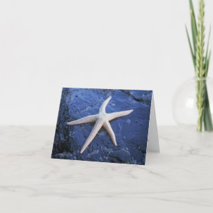 Starfish auf dem Felsen Lava Karte