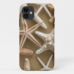 Starfish auf dem Sand title_seo2