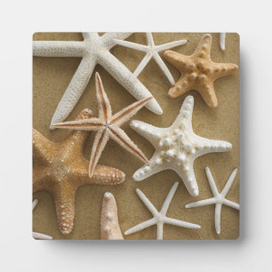 Starfish auf dem Sand Fotoplatte