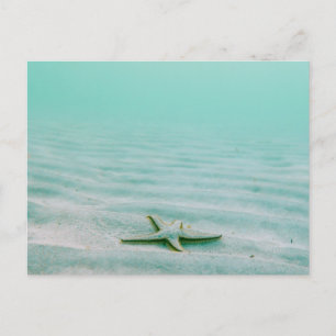 STARFISH AUF DER SEABKARTE POSTKARTE