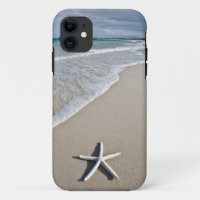 Starfish auf einem Fernstrand