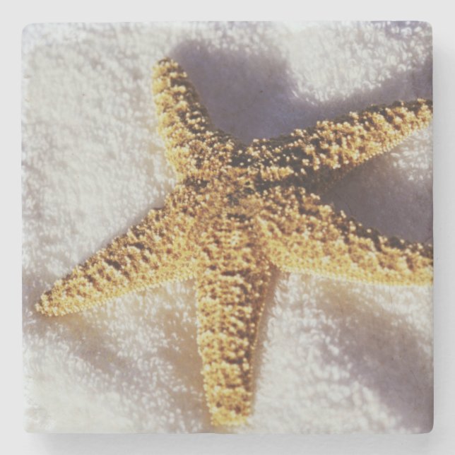 Starfish auf einem Tuch Steinuntersetzer (Vorderseite)