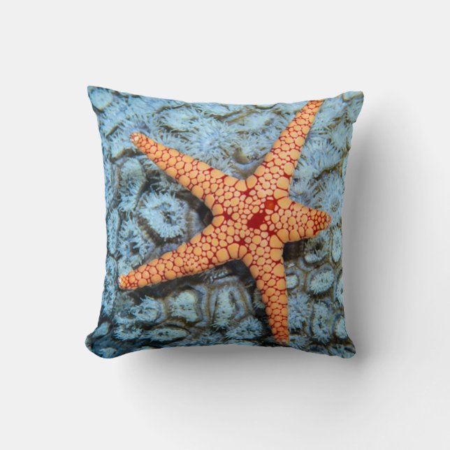 Starfish auf einer Koralle mit Polips Kissen (Vorderseite)