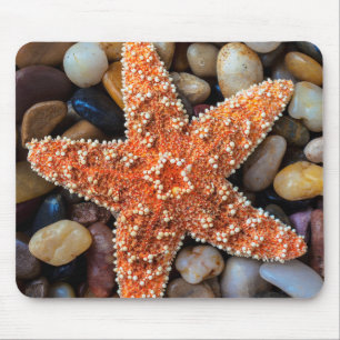 Starfish auf Felsen Mousepad