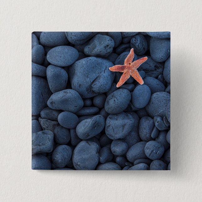 Starfish auf schwarzen Felsen entlang der Küste | Button (Vorderseite)