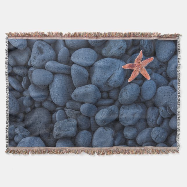 Starfish auf schwarzen Felsen entlang der Küste | Decke (Vorderseite)
