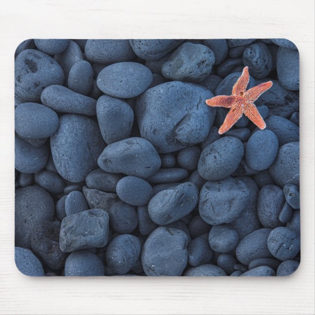 Starfish auf schwarzen Felsen entlang der Küste | Mousepad (Vorne)