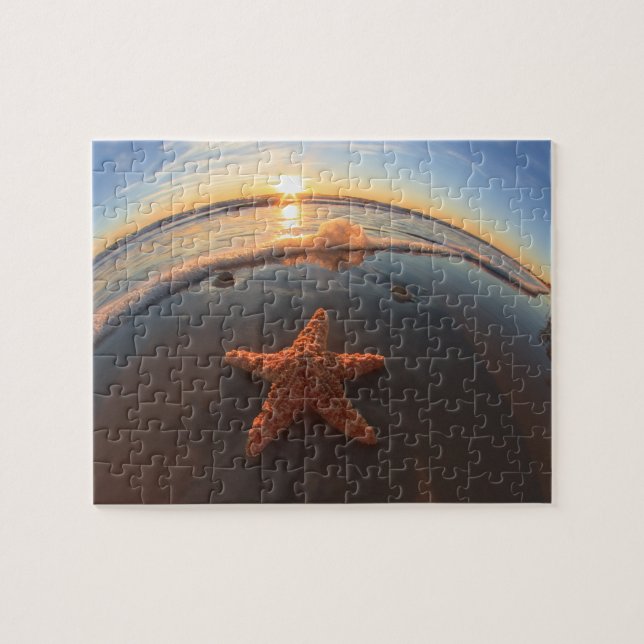 Starfish auf Strand am Sonnenuntergang (Horizontal)