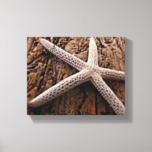 Starfish auf Treibholz Leinwanddruck