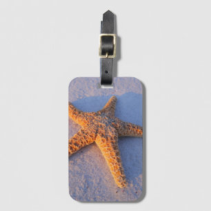 Starfish auf weißem Sand Gepäckanhänger
