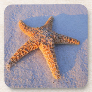 Starfish auf weißem Sand Getränkeuntersetzer