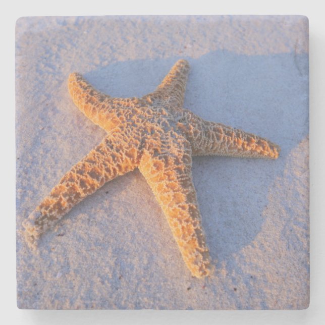 Starfish auf weißem Sand Steinuntersetzer (Vorderseite)