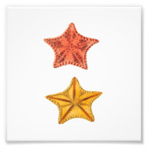 Starfish Beach Sea Wasserbad Print