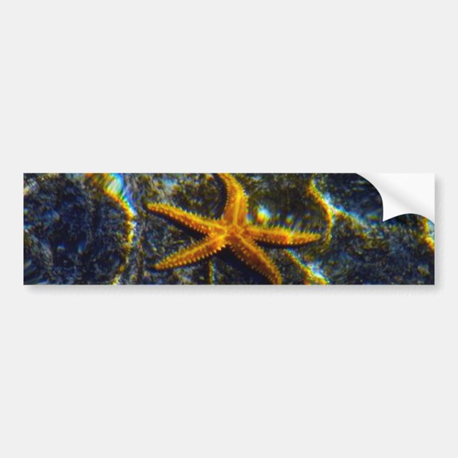 Starfish Bumper Sticker Autoaufkleber (Vorne)