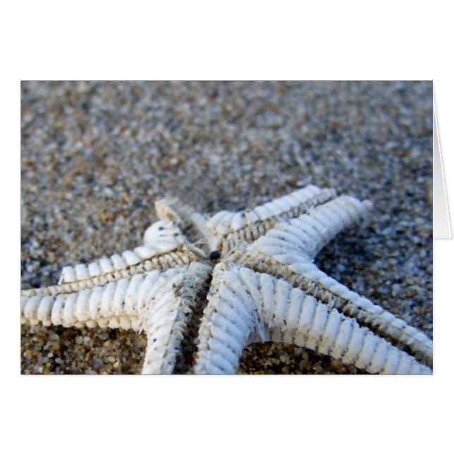 Starfish Card (Vorderseite (Horizontal))