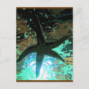 Starfish CB Postkarte