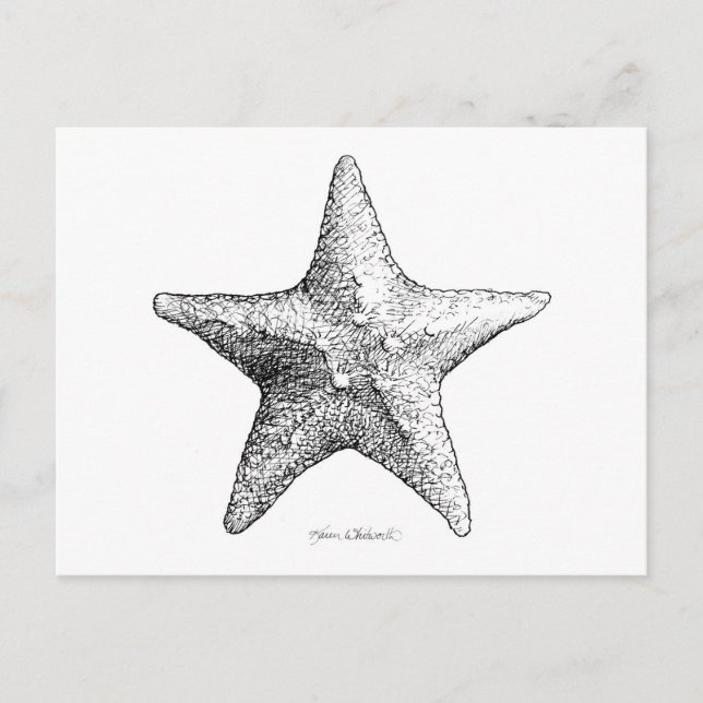 Starfish Drawing Black & White Sea Star Art Postkarte (Vorderseite)