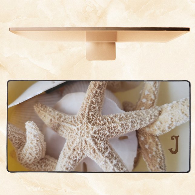Starfish et dollars de sable blanc crémeux Côtier (Créateur téléchargé)