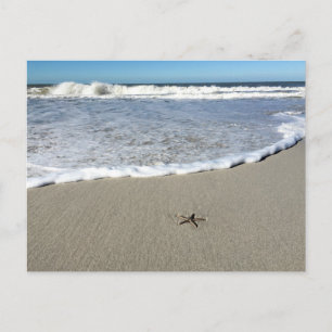 Starfish gewartet für die Wellen Postkarte