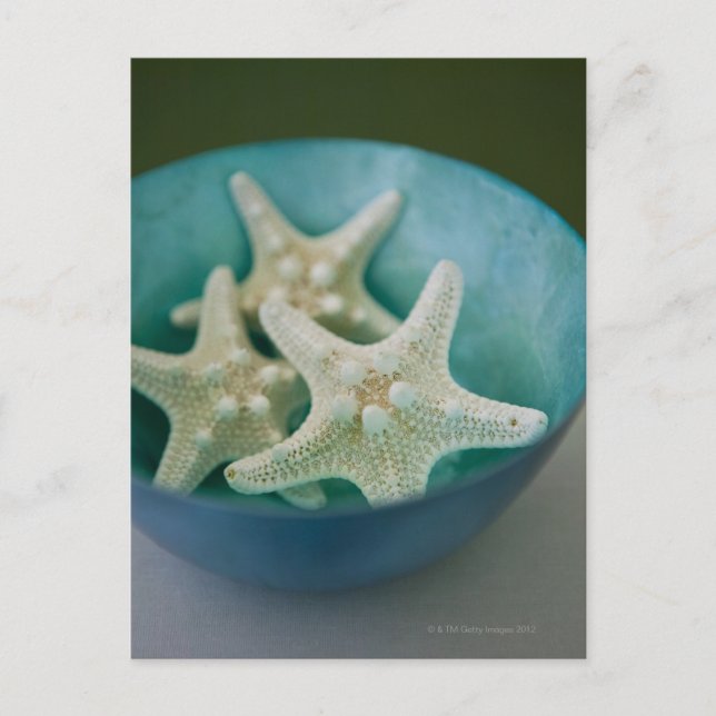 Starfish in Schüssel Postkarte (Vorderseite)