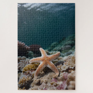 Starfish in the Deep Sea