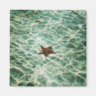 Starfish-Insel-Magnet Magnet