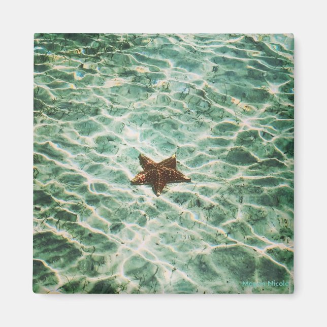 Starfish Island Magnet (Vorne)
