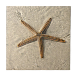 Starfish Keramik Tile Trivet Fliese