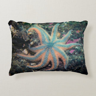 Starfish Kissen im Freien