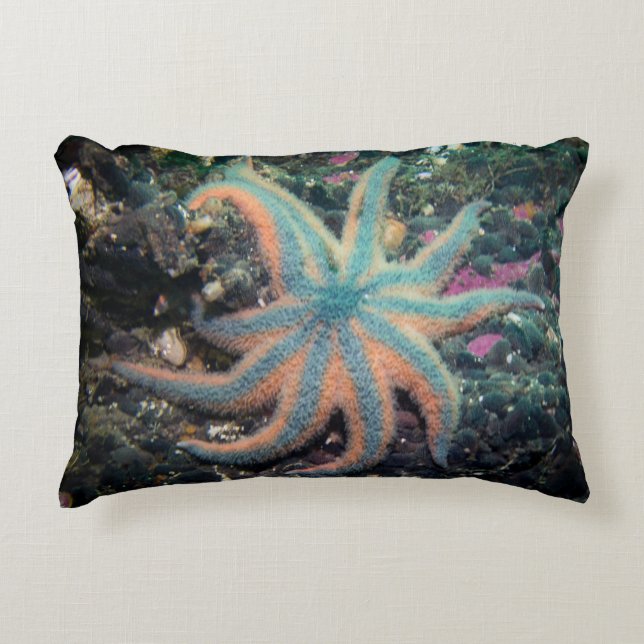 Starfish Kissen im Freien (Vorderseite)