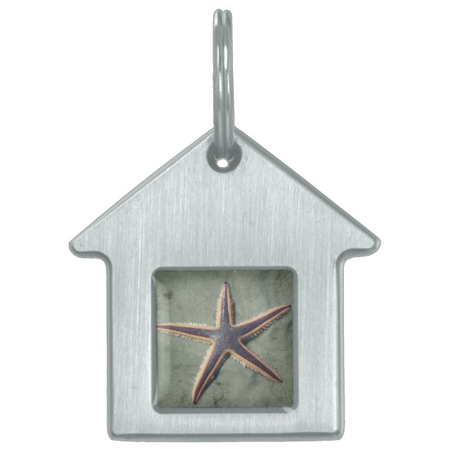Starfish Lila Seestern am Strand Tiermarke (Vorderseite)