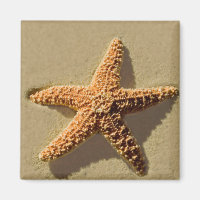 Starfish