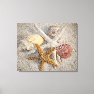 Starfish-/Muschel-/Sand-Strand-noch Leben Leinwanddruck