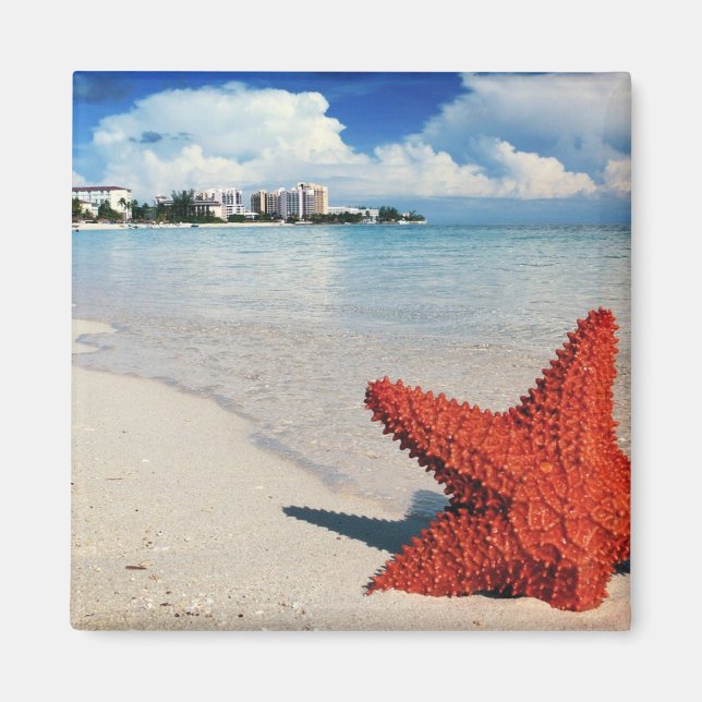 Starfish, Nassau, Bahamas Magnet (Vorne)