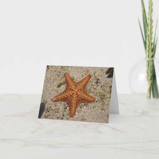 Starfish notecard karte (Vorderseite)
