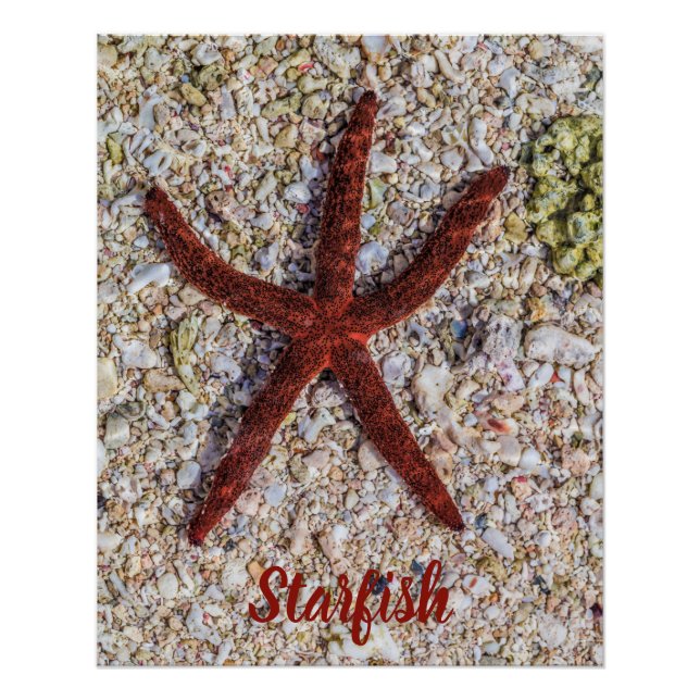 Starfish Ocean Vintag Beach Retro Souvenir Poster (Vorderseite)