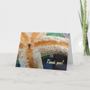Starfish on Beach Glass Danke Karte