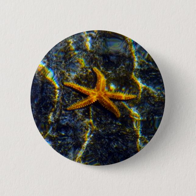 Starfish Pinback Button (Vorderseite)