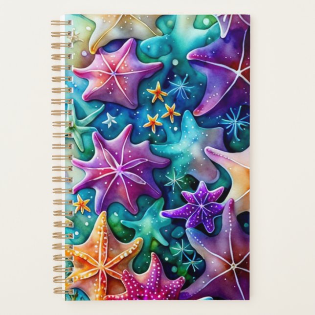 Starfish Planer (Vorderseite)