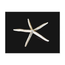 Starfish Postkarte