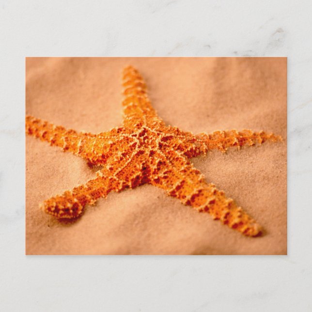 Starfish Postkarte (Vorderseite)