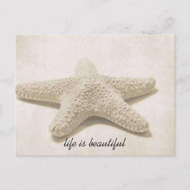 Starfish Postkarte (Vorderseite)