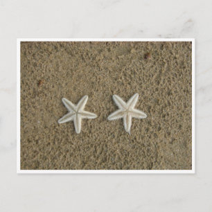 STARFISH POSTKARTE