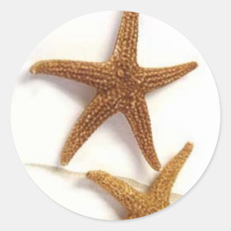 Starfish Runder Aufkleber