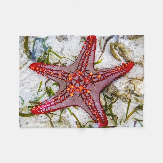 Starfish, Sansibar, Tansania Fleecedecke (Vorderseite (Horizontal))