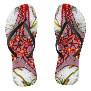 Starfish, Sansibar, Tansania Flip Flops
