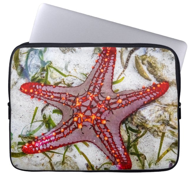 Starfish, Sansibar, Tansania Laptopschutzhülle (Vorderseite)
