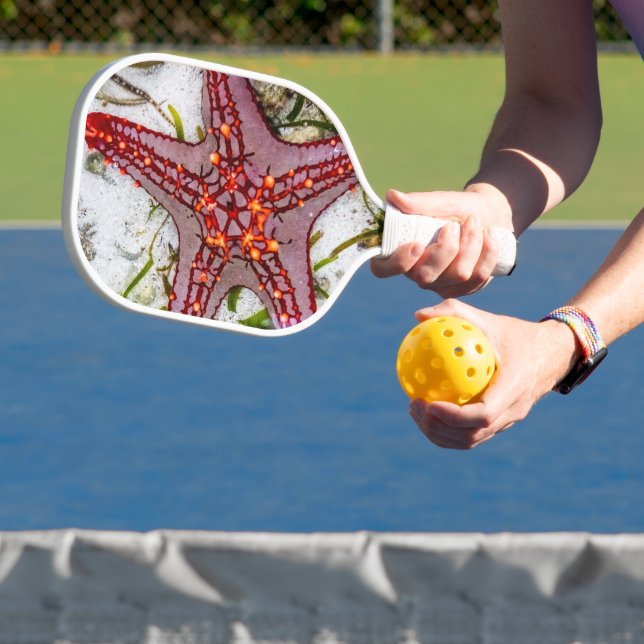 Starfish, Sansibar, Tansania Pickleball Schläger (InSitu)